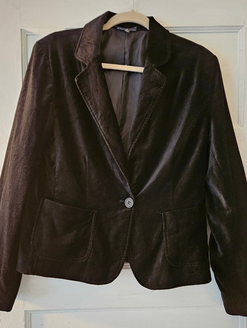 Briggs New York Classic Women's Velvet Blazer Jacket - Black